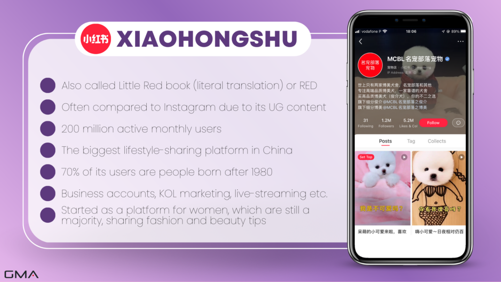 Chinese social media:Xiaohongshu