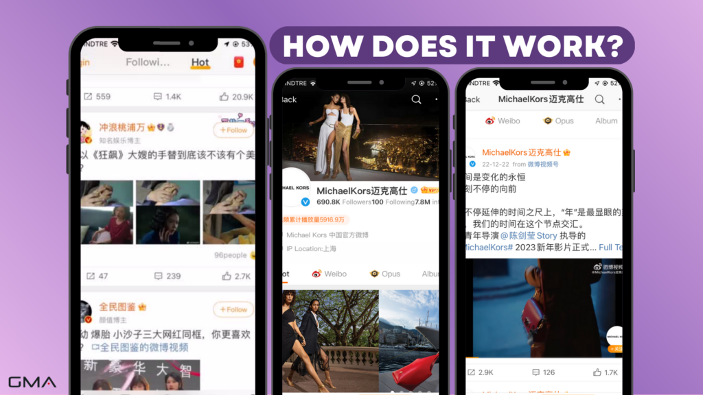 Chinese social media:Weibo